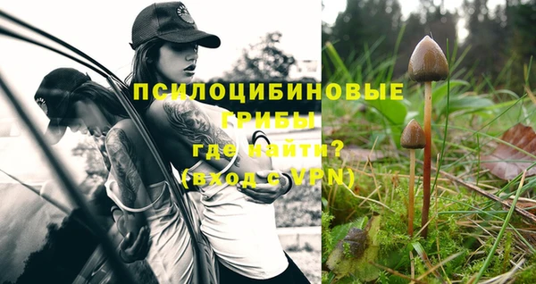 молекула духа Баксан
