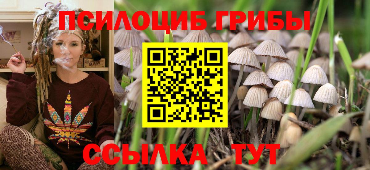 Псилоцибиновые грибы ЛСД Печора