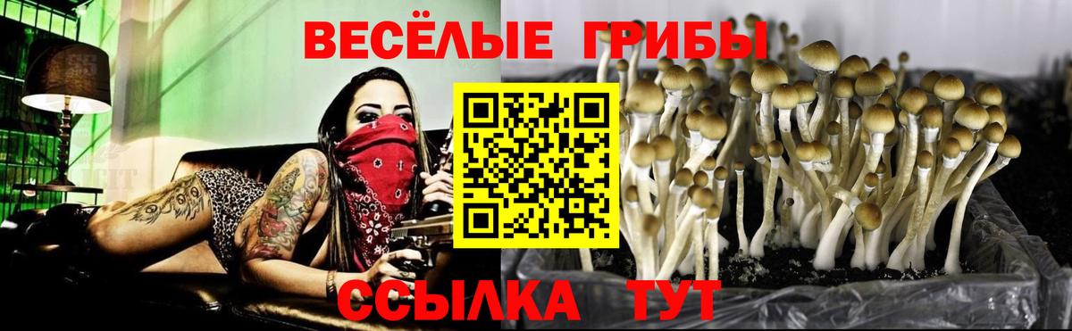 Псилоцибиновые грибы Magic Shrooms  где продают   Печора  Псилоцибиновые грибы мухоморы  Вход с VPN 